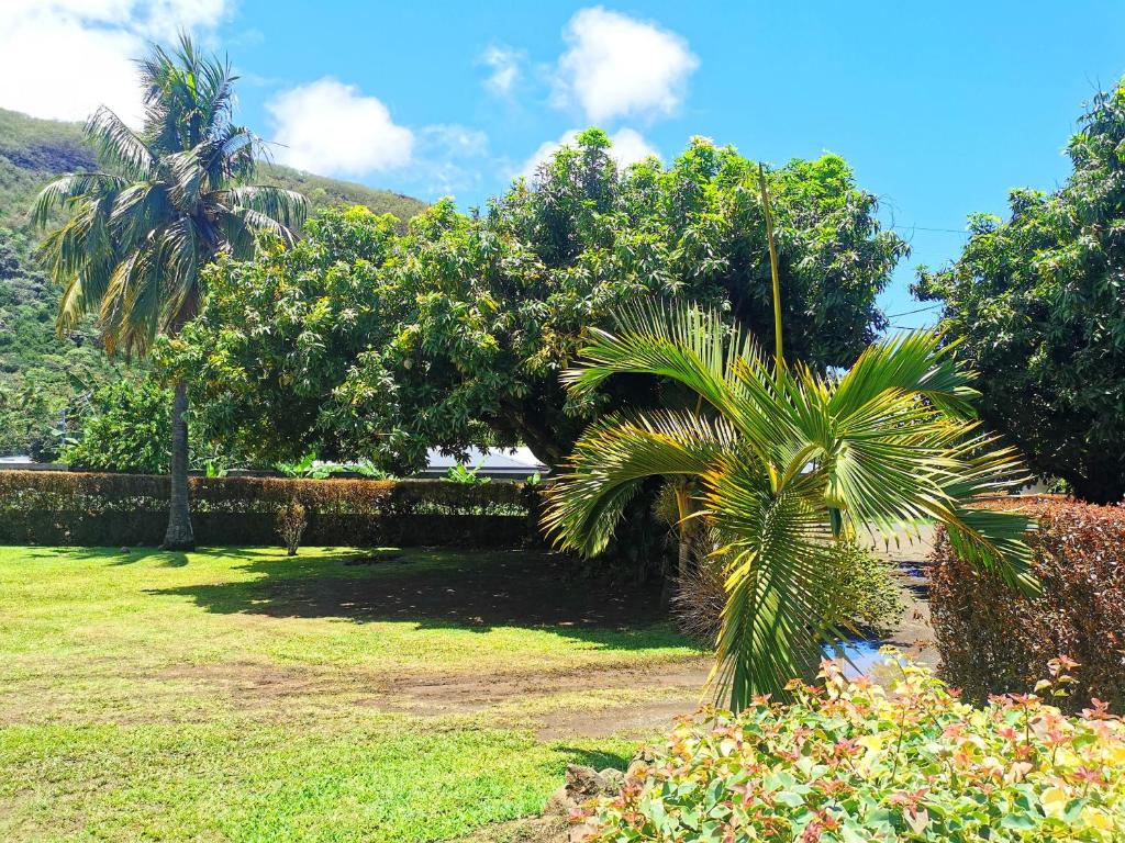 a garden with a palm tree and a fence at TAHITI - Orofero Lodge in Paea