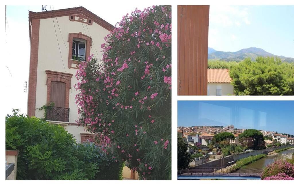 uma colagem de imagens de uma árvore com flores cor-de-rosa em Appartement 300 m plage et port em Banyuls-sur-Mer