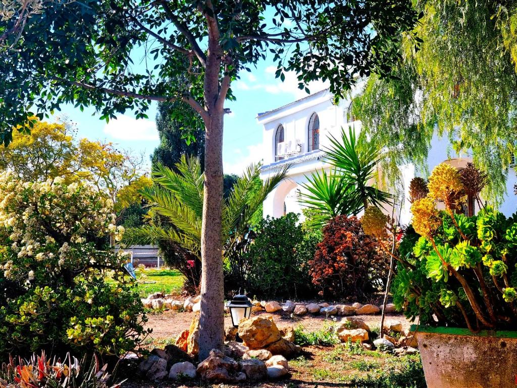 Booking.com: CHALET ALICANTE Sol y Luz , San Vicente del ...