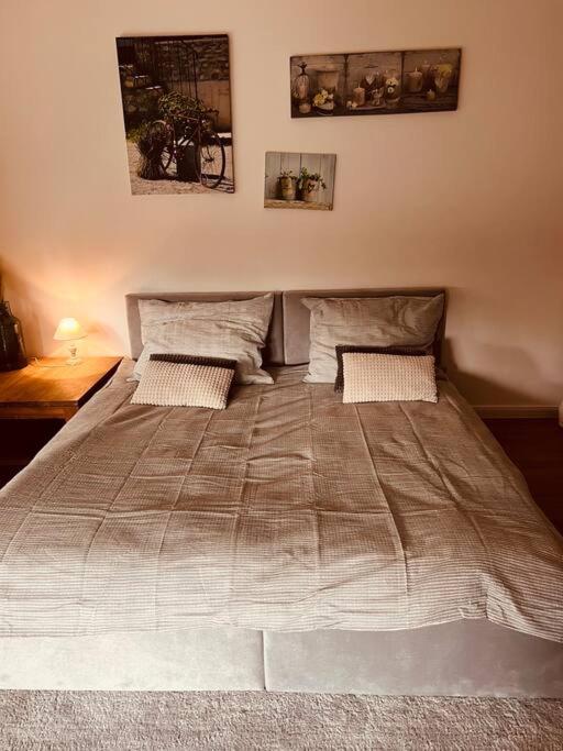 Beautiful ground floor apartment in Warsaw - 4