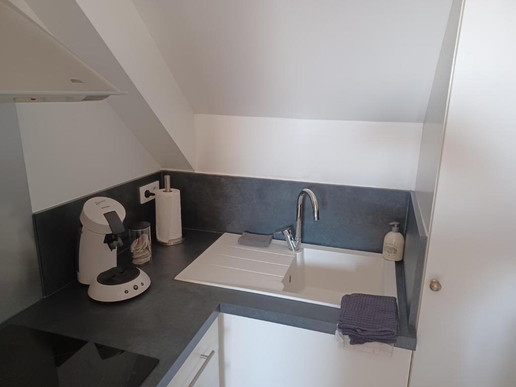 a kitchen counter with a sink and a mixer at Joli Appartement avec vue sur la Baie in Avranches