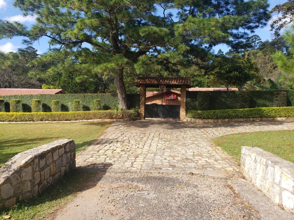 un camino de piedra en un parque con un árbol en Bama House hn, en Valle de Ángeles