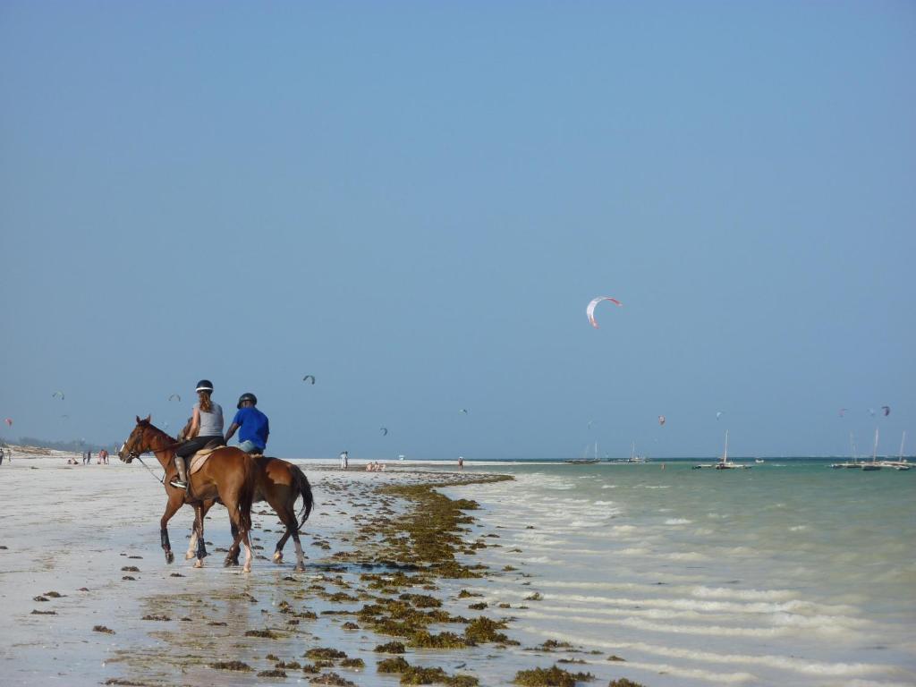 Hosté ubytování Lantana Galu Beach