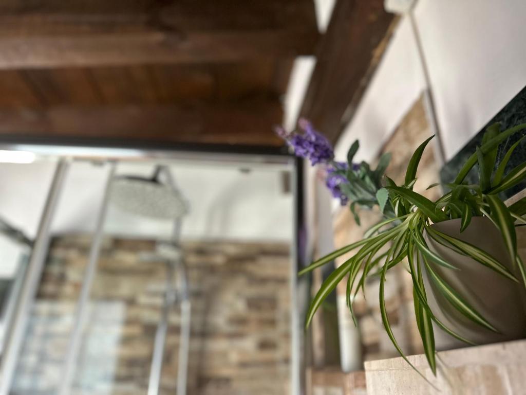 Apart. Palacio Canónigo 7 - Junto Catedral - 15