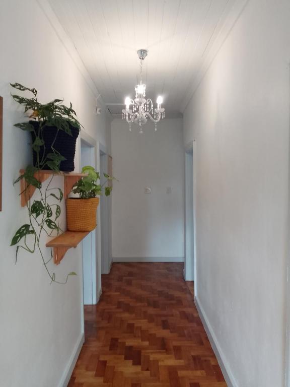 a hallway with plants on the wall and a chandelier at LRN Brackenfell Homestay in Cape Town
