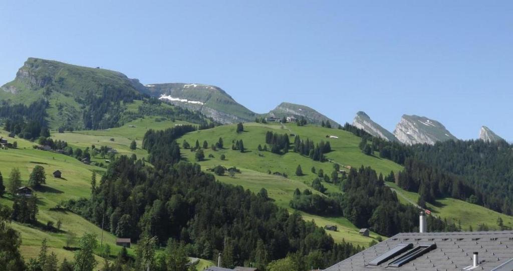 a green hill with trees and mountains in the background at Haus Melissa in Wildhaus