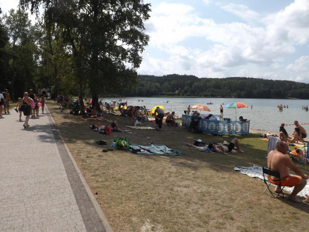 Príroda v okolí privátu