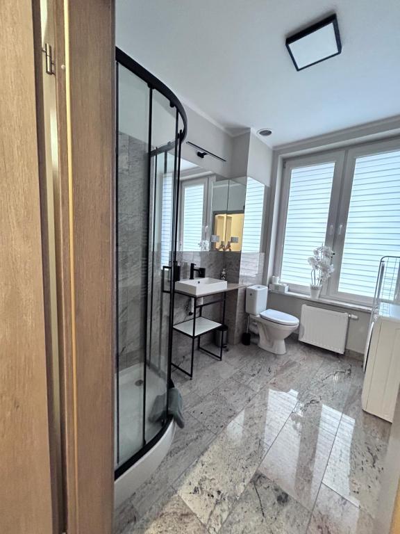 y baño con ducha, aseo y lavamanos. en Apartament Walczaka 42 MIEJSCE PARKINGOWE, en Gorzów Wielkopolski
