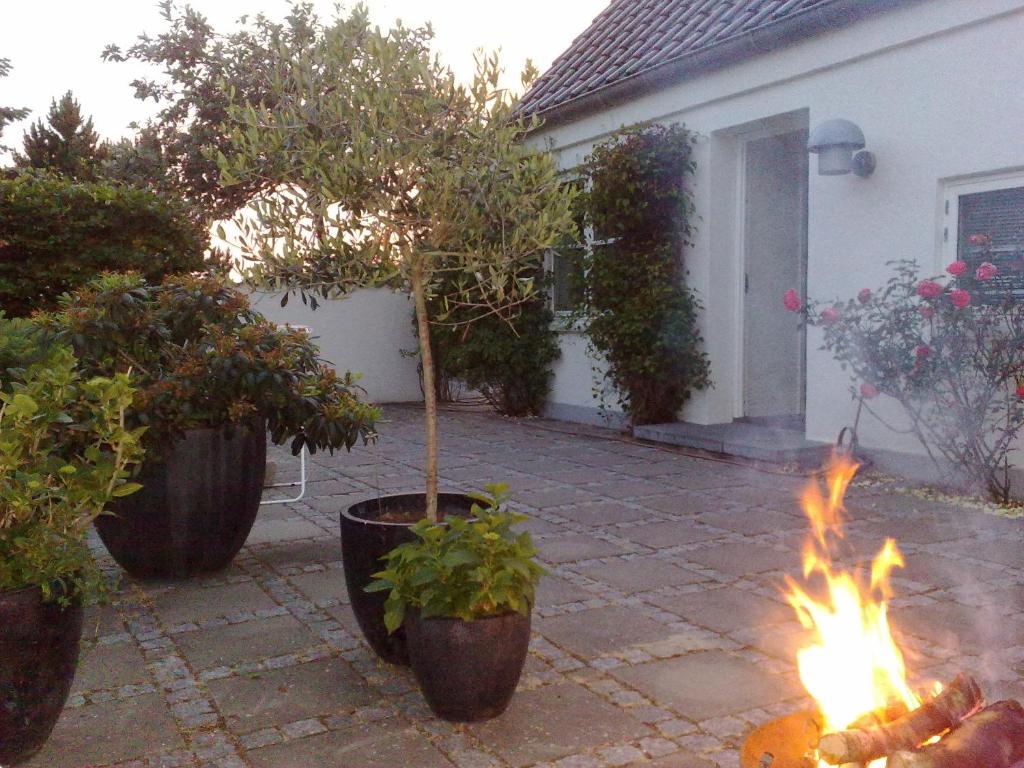 Zahrada ubytování Helts B&B - Helts Guesthouse