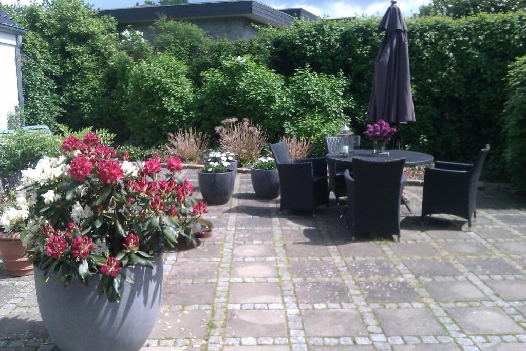 Zahrada ubytování Helts B&B - Helts Guesthouse