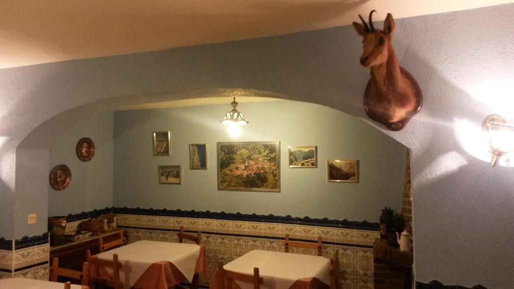 Fotografie z fotogalerie ubytování Hostal La Plaza v destinaci Tielve