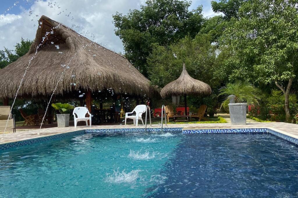 basen ze słomianym parasolem i krzesłami w obiekcie Casa Finca La Maquinaria w mieście Arjona