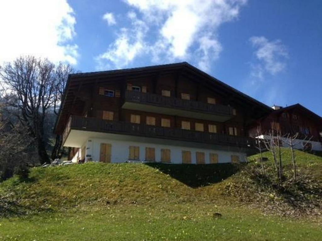 dom na szczycie trawiastego wzgórza w obiekcie 3 12 Zimmer Wohnung w mieście Axalp