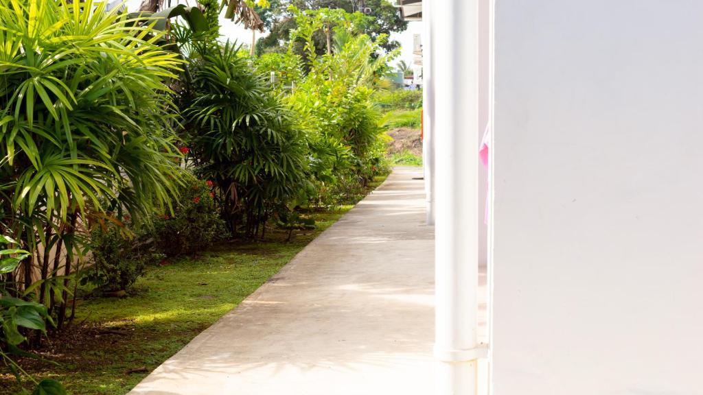 Zahrada ubytování Island Accommodation Suva Premier Hospitality