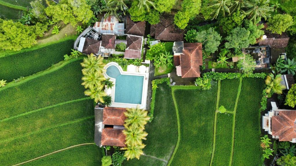 una vista aérea de una casa con piscina en Atres Villa, en Munduk