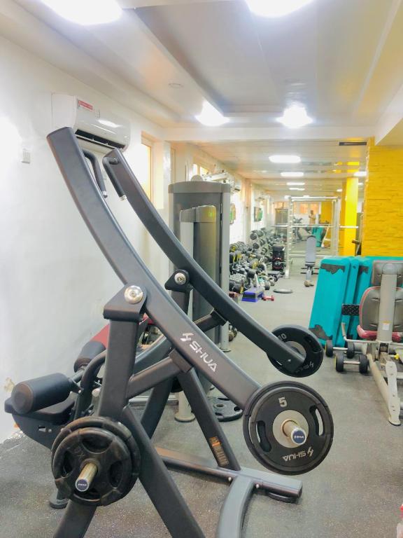Fitness centrum a/nebo fitness zařízení v ubytování Dalchifit Suites by Premium Swiss Hospitality