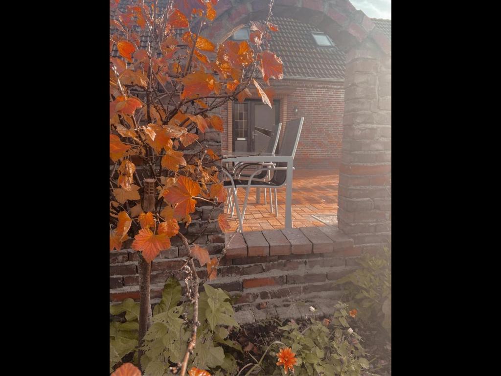 Un árbol con hojas de naranja junto a una casa en NEU! Ferienhaus am Moor, en Wiesmoor