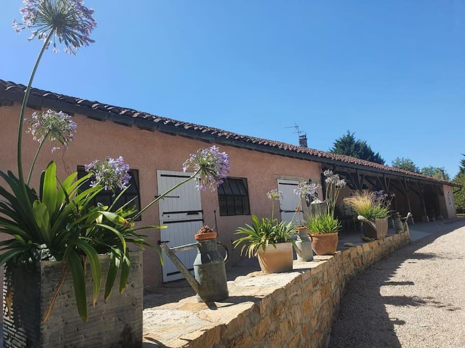 uma fila de vasos de plantas em frente a um edifício em Dépendance pour 1 à 4 pers au calme dans propriété em Marboz