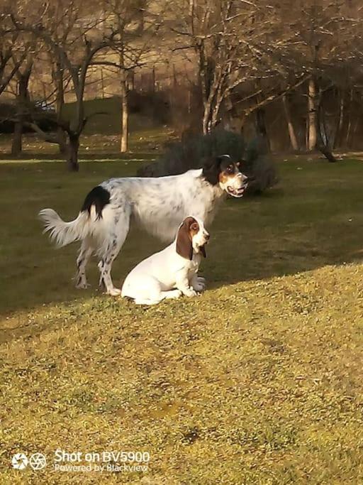 Zwierzęta zatrzymujące się w obiekcie Dépendance pour 1 à 4 pers au calme dans propriété