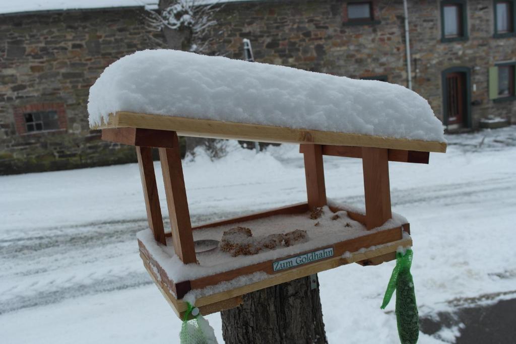 Zum Goldhahn v zimě