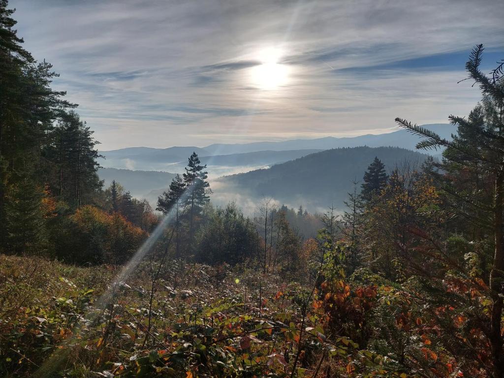 Príroda v okolí apartmánu