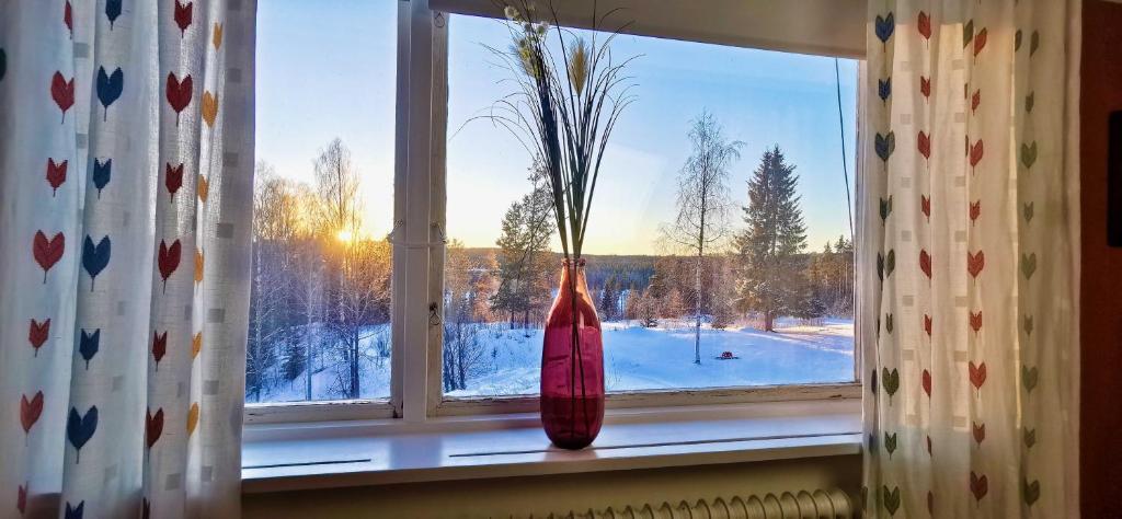 Fotografie z fotogalerie ubytování Kronlund Kursgård v destinaci Vindeln