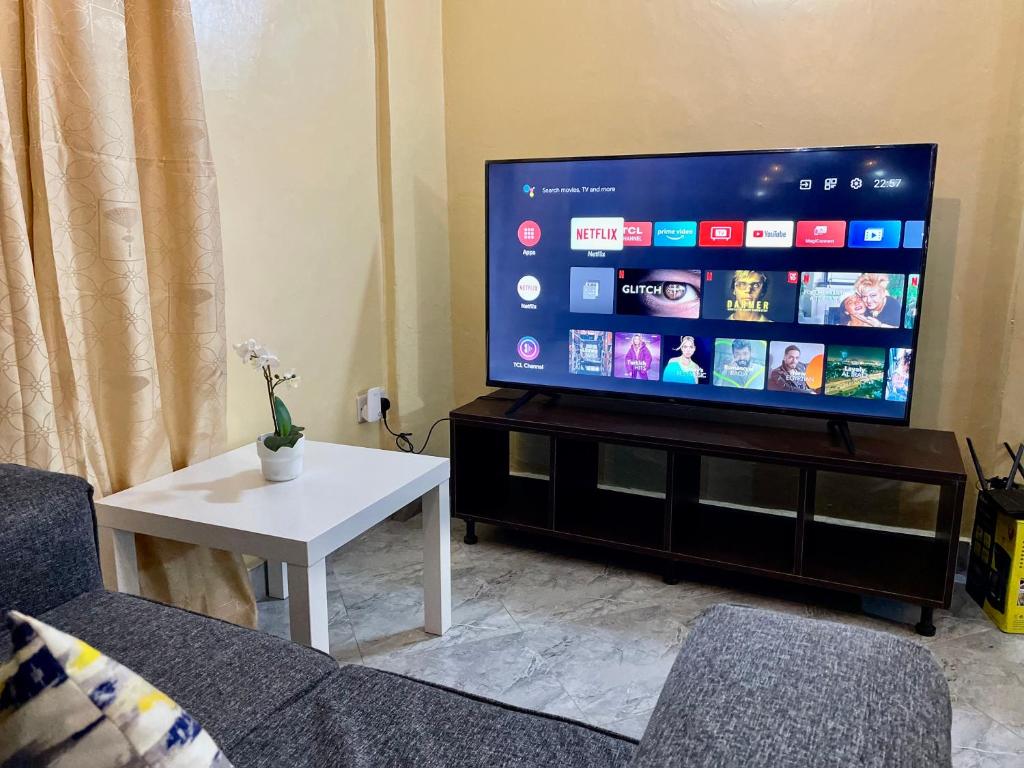 TV a/nebo společenská místnost v ubytování Countryside Apartment