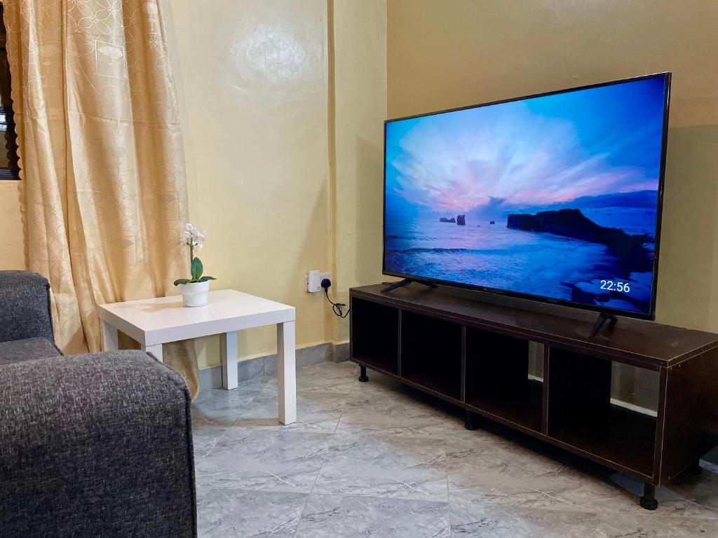 TV a/nebo společenská místnost v ubytování Countryside Apartment
