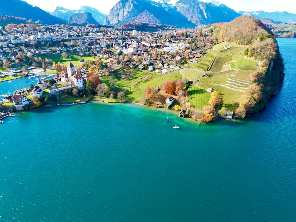 an aerial view of a small island in the water at Seaside-Lodge, Top Apartment in Spiez