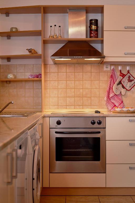 Kuchyň nebo kuchyňský kout v ubytování Apartman KATI