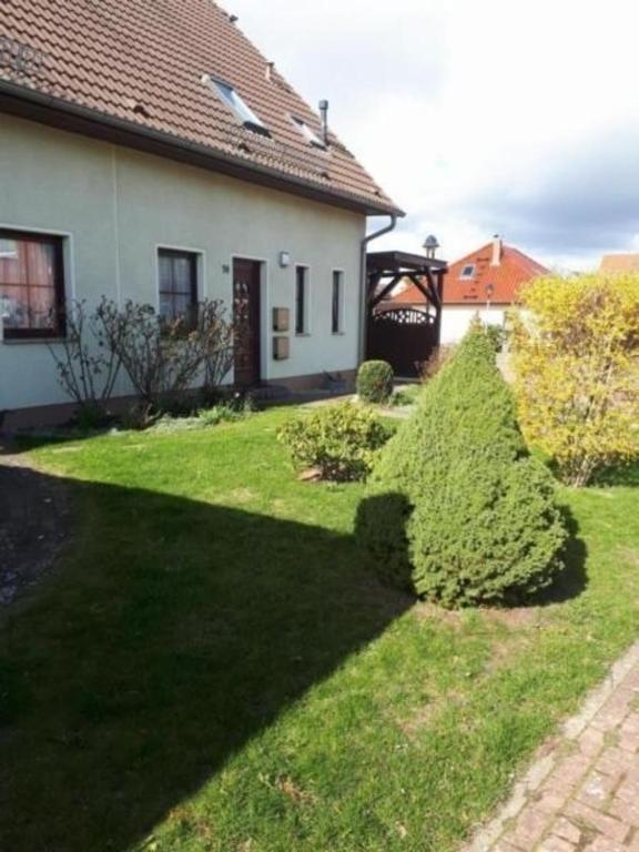 Ferienwohnung Brodaer Holz - Apartment