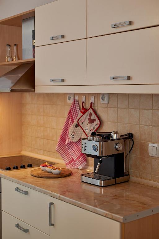 Kuchyň nebo kuchyňský kout v ubytování Apartman KATI