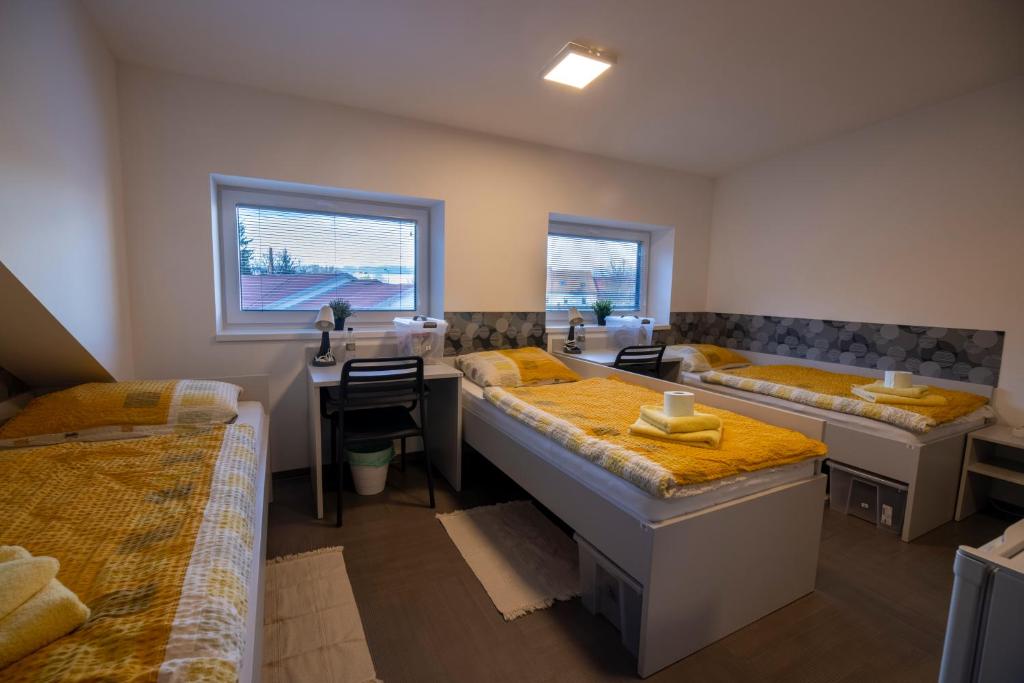 Kuchyň nebo kuchyňský kout v ubytování Hostel Limaks Celje