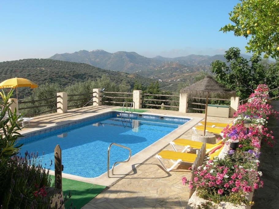 una piscina con 2 sillas amarillas al lado en La Molina Del Olivar - Peaceful Location, en Ríogordo