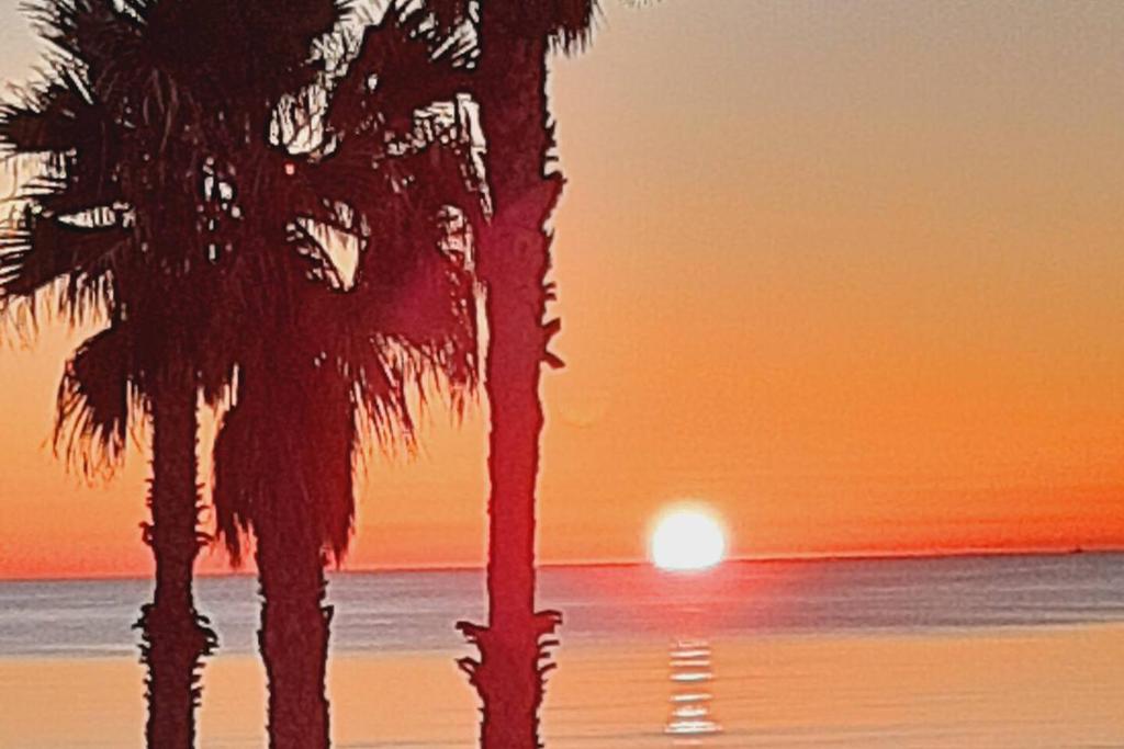 two palm trees on the beach at sunset at FiveStepsToSea - Beach Apartment Valencia in Valencia