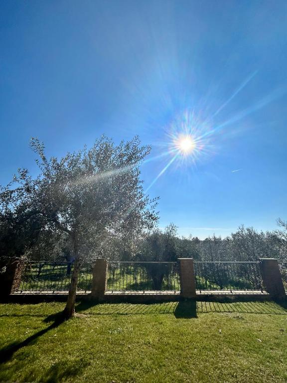 Podere La Branda - One-Bedroom Apartment