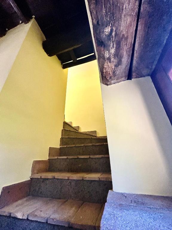 Fotografie z fotogalerie ubytování Podere La Branda v destinaci Vetralla