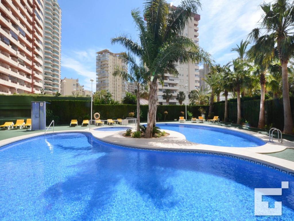 a large swimming pool with palm trees and buildings at Apartamento Ambar Beach 18D - Grupo Turis in Calpe
