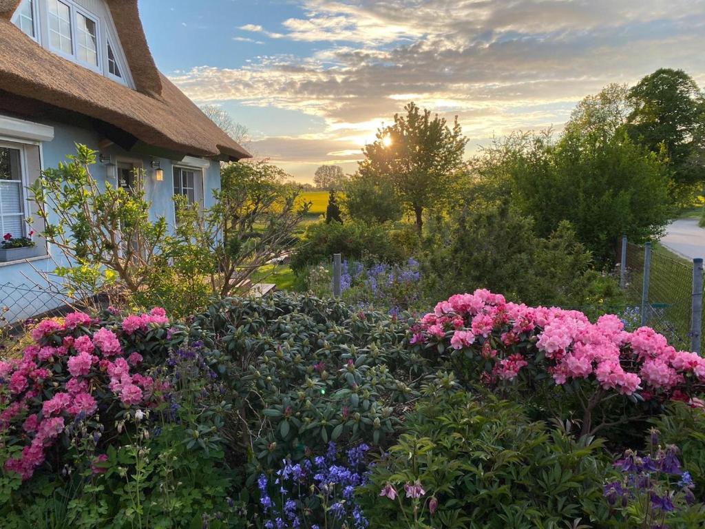 a garden of flowers in front of a house at Reethaus Vilmnitz - Ferienwohnung Goor in Vilmnitz