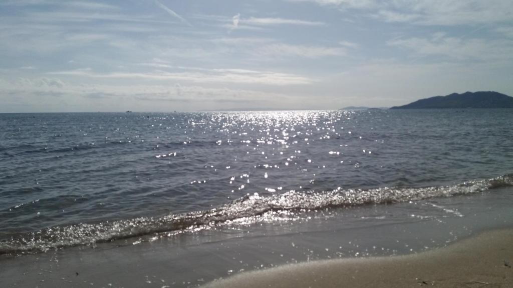 Crystal Home near Airport - 11