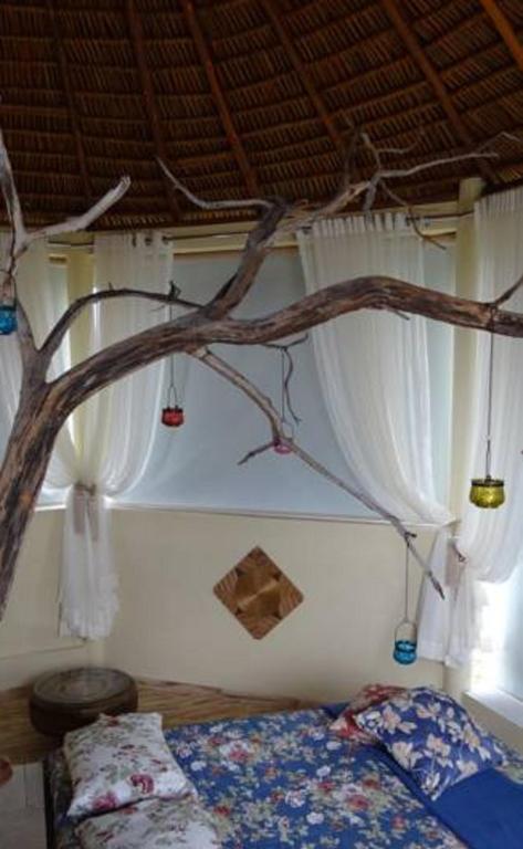  Jalapão Ecolodge