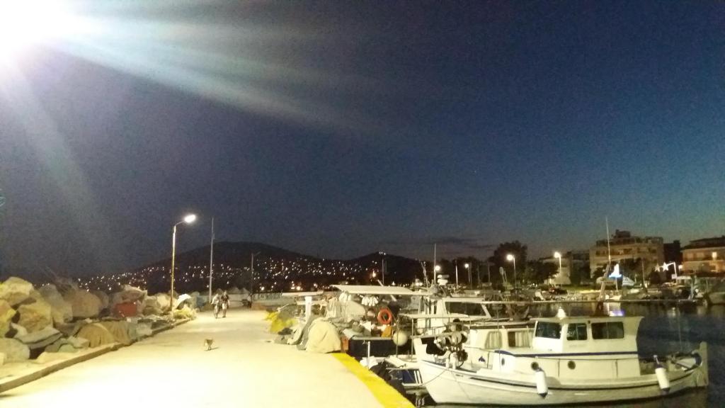 Crystal Home near Airport - 16