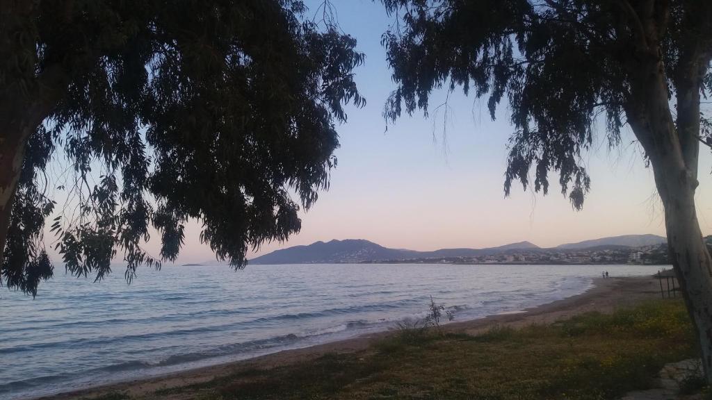 Crystal Home near Airport - 17