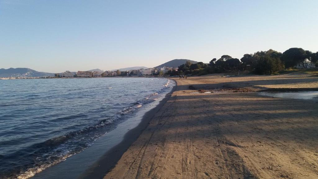 Crystal Home near Airport - 19