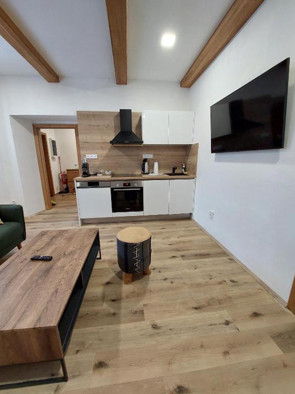 Kuchyň nebo kuchyňský kout v ubytování Villa Celnice