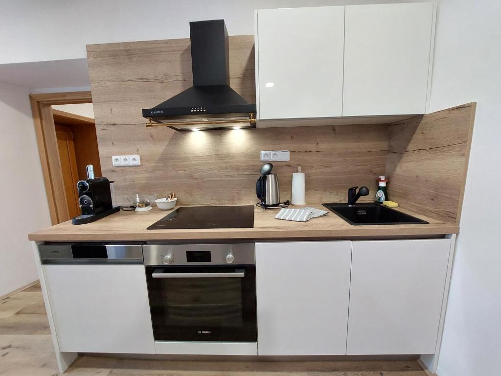 Kuchyň nebo kuchyňský kout v ubytování Villa Celnice