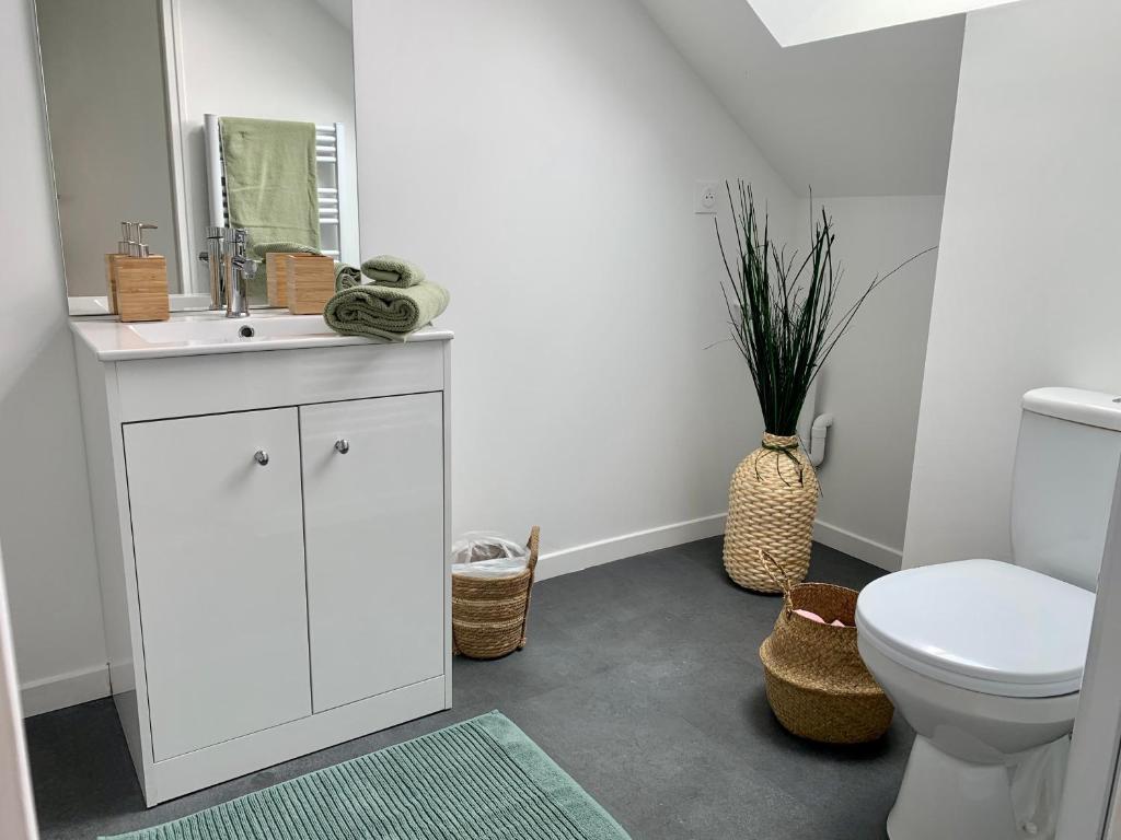 Kúpeľňa v ubytovaní Florimond cosy apparts