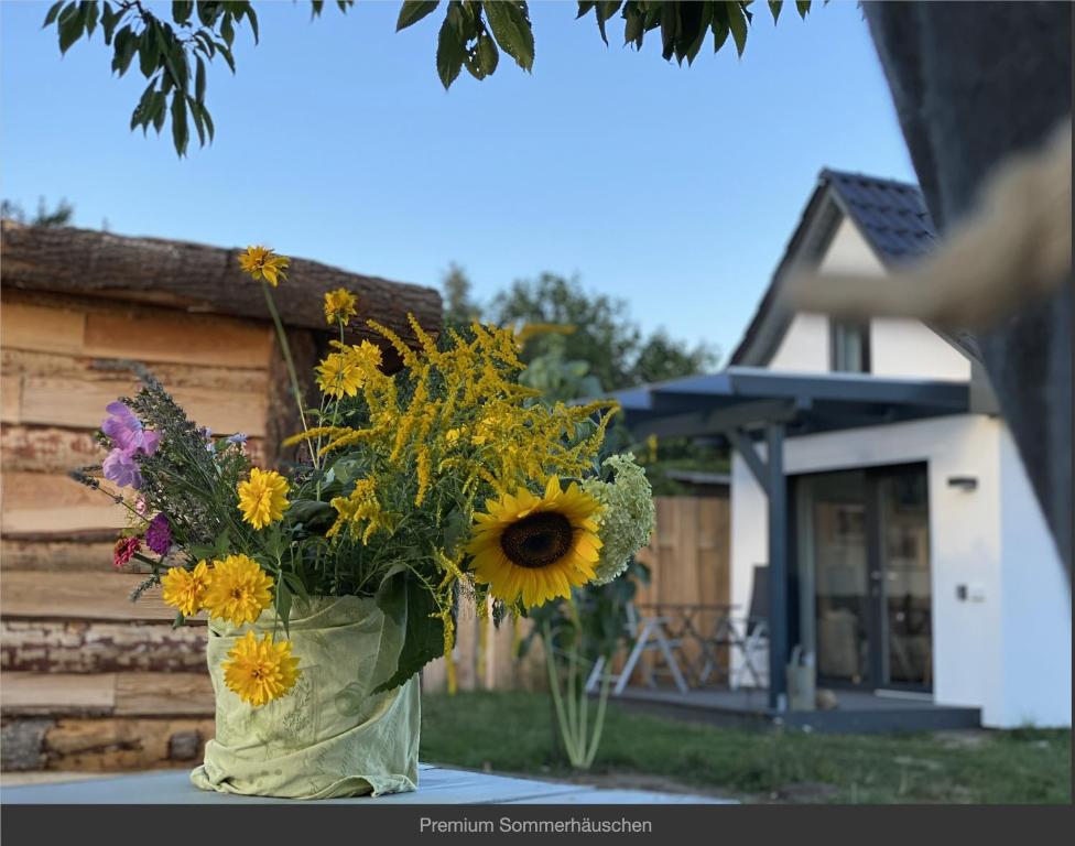 Sommerhäuschen - Casa Per Festività Premium
