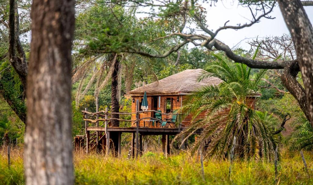 une cabane dans les arbres au milieu d'une forêt dans l'établissement Mansa Musso Treehouse Resort, à Sanyang