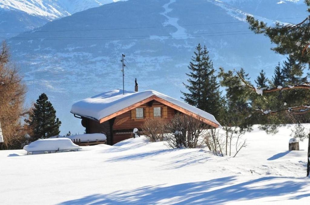 Chalet "Mein Traum" om vinteren